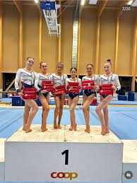Image result for Aylesbury School Of Gymnastics