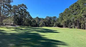 Image result for Dolphina Gc