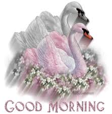 images?q=tbn:ANd9GcShrsWccjJyG48jpNQ6_Fn-sfDUWlmH50RwMtDW_-FeAY0HB039