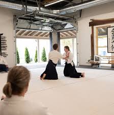 Image result for Aikido - Shobu UK
