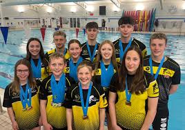 Image result for Swindon Dolphins