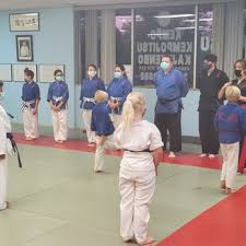 Image result for COURT FIELDS karate Academy