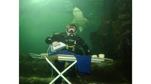 Image result for extreme ironing