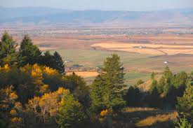 Attēlu rezultāti vaicājumam “Libanotis montana”