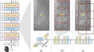 Image result for backmodel terzi