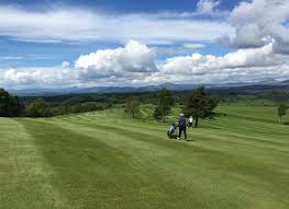 Image result for Bridge Of Allan Sports Club