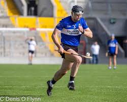 Image result for Causeway Hurling Club