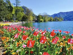 Image result for "Parco Ciani"