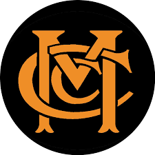 Image result for Wonersh Cricket Club