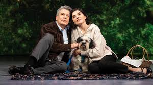 Image result for Bugaboo Cameleon Julianna Margulies