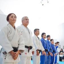 Image result for Halewood Inclusive Judo Club