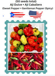 Afbeeldingsresultaat voor aji dulce sweet pepper