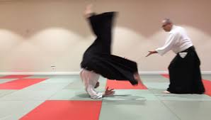 Image result for Ki Aikido (Epsom Ki Aikido