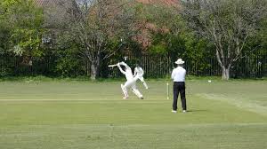 Image result for Knowle Cricket Club