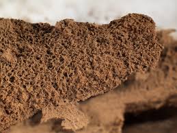 Attēlu rezultāti vaicājumam “Reticularia jurana”