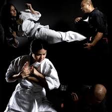 Image result for Northern Freestyle Karate Association