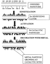 Decoration of activated carbon nanotubes with copper and nickel ...