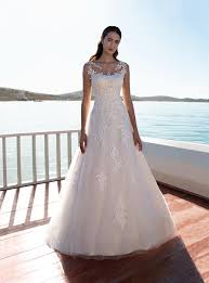 Image result for cosmobella