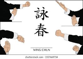 Image result for Windsor WingTsun Kung fu