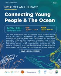 Image result for Chrysoblephus cristiceps