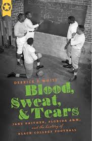 Image result for Blood Sweat and Tears Mixed Martial Arts Academy