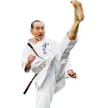 Image result for Imi Jishin Ryou karate do