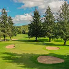 Image result for Blairbeth Golf Club