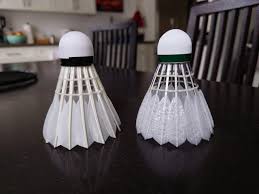 Image result for Feathers Badminton- Leatherhead