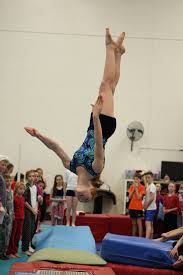 Image result for Hawth Gymnastics, Crawley