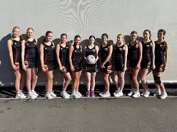 Image result for Huddersfield Giants Netball Club