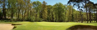 Image result for Brokenhurst Manor Golf Club
