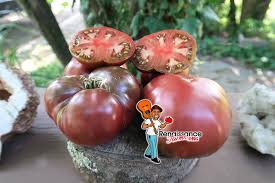 Afbeeldingsresultaat voor black brandywine tomato