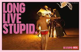 Image result for stupid diesel