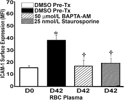 Image result for Hemonetics CCS