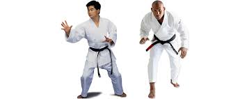Image result for A BRITISH JUJITSU RYU in Lancing