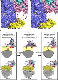 Image result for The 3E`s Ttc