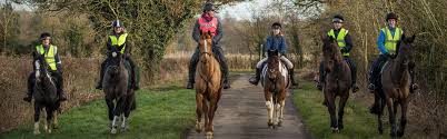 Image result for Lower Farm Stables