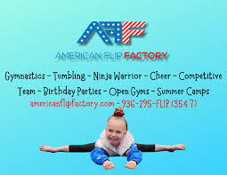 Image result for The Flip Factory Gymnastics Club