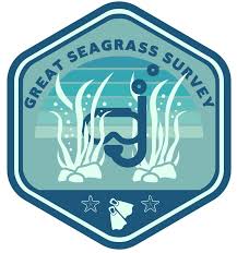 Image result for Iom Aquaholics