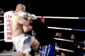 Image result for Southgate T`ai Tsung Chinese Boxing