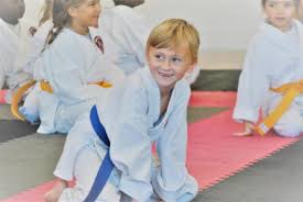 Image result for Ifield Shotokan Karate Club