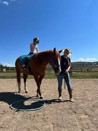 Image result for Buchan Group Riding For The Disabled