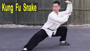Image result for kung fu