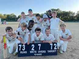Image result for Shepherds Bush Cricket Club