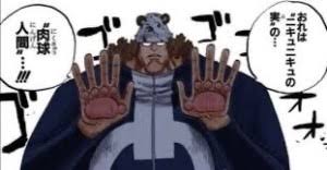 「バーソロミュー・くま ONE PIECE」の画像検索結果