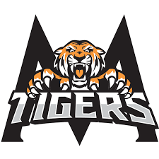 Image result for Bedford Tigers Tchoukball Club