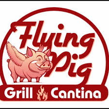 Image result for flying pigs