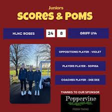 Image result for Hn Ladies Netball Club