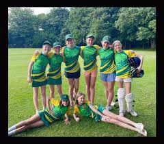 Image result for Churt Cricket Club