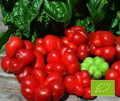 Afbeeldingsresultaat voor voyage tomato